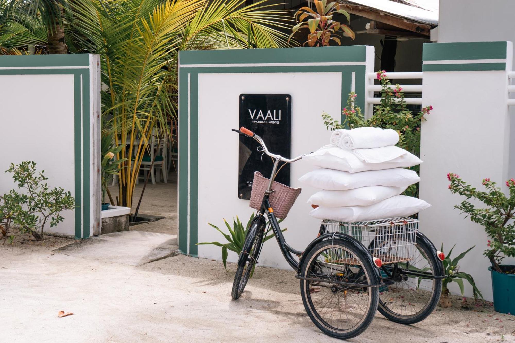 Vaali Maldives Island Escapes & Dive Hotel Đảo Đảo Felidhoo Ngoại thất bức ảnh
