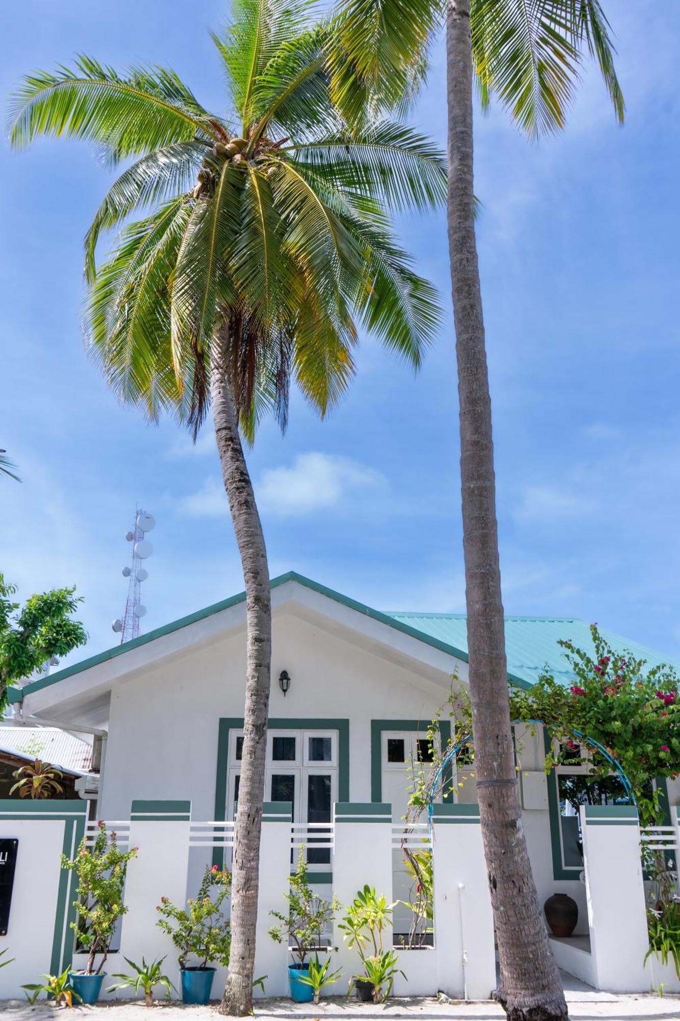 Vaali Maldives Island Escapes & Dive Hotel Đảo Đảo Felidhoo Ngoại thất bức ảnh