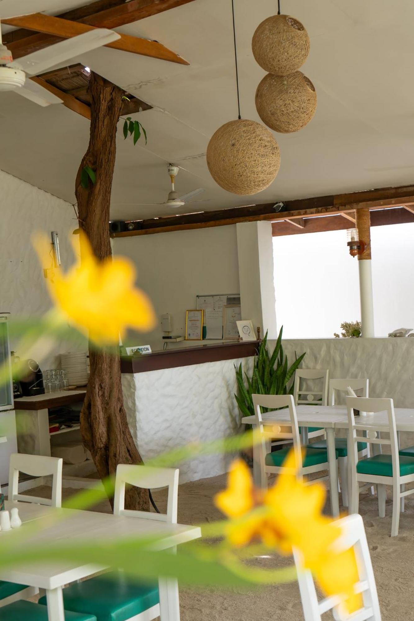 Vaali Maldives Island Escapes & Dive Hotel Đảo Đảo Felidhoo Ngoại thất bức ảnh