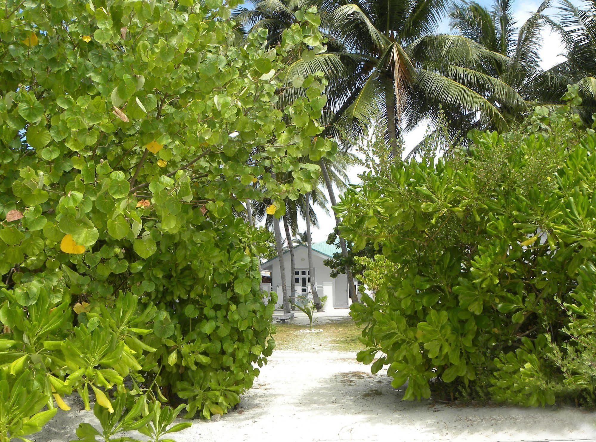 Vaali Maldives Island Escapes & Dive Hotel Đảo Đảo Felidhoo Ngoại thất bức ảnh